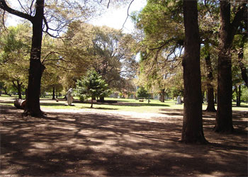 vista de un sector del parque avellaneda