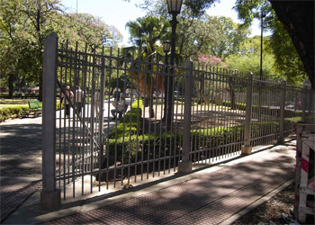 Un vecino del barrio de flores filmo en la plaza Pueyrredon, ubicada en la Av. Rivadavia y Artigas, mas conocida por todos como Plaza Flores, como una linda familia de ratones, salía en busca de comida de abajo la plataforma de madera, donde están emplazados los juegos de los chicos, esta situación no es exclusiva de ese barrio, ya que en las otras Comunas de la Ciudad ocurre lo mismo.